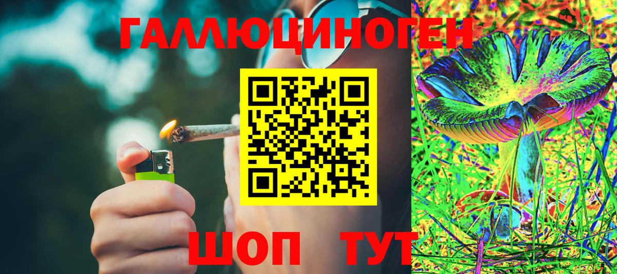 Галлюциногенные грибы ЛСД  Вход с VPN  Псилоцибиновые грибы Psilocybe  Нижнеудинск 